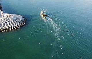 Balıkçılar denizde, martılar peşlerinde kısmetini...