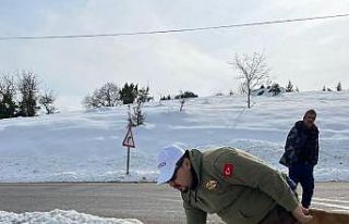 Balıkçılar sokak hayvanlarını besledi