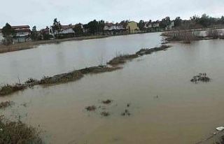 Balıkesir’de arazileri sular bastı, arı kovanları...