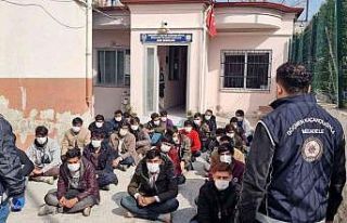 "Banker Bilo" filmi gerçek oldu