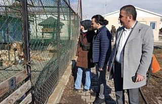Baro heyeti hayvan barınağında incelemelerde bulundu