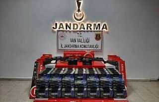 Başkale’de 5 at üzerinde 42 adet havalı tüfek...