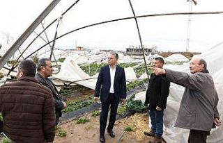 Başkan Uysal, hortumun vurduğu seraları inceledi