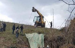 Bataklığa saplanan inek kurtarıldı
