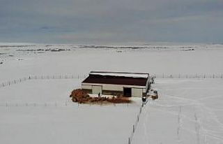 Besicinin 4 günlük esareti bitti