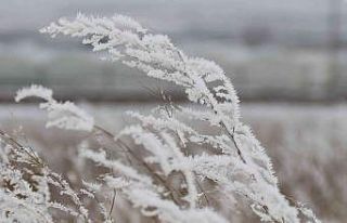 Beyaza bürünen Eskişehir kırsalı adeta buz kesti