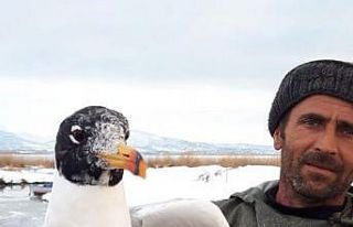 Beyşehir Gölü’nde ağa takılan martıyı balıkçı...