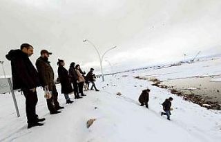 Beyşehir’de üniversiteli öğrencilerden su kuşlarını...