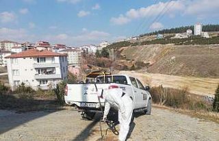 Bilecik Belediyesi haşereye göz açtırmıyor