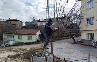 Bilecik Belediyesi kenti bahara hazırlıyor
