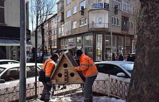 Bilecik’te sokak hayvanları için yapılan yuvalar...