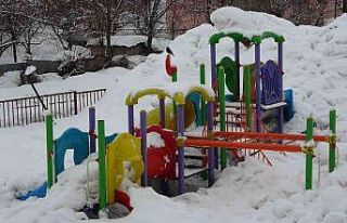 Bitlis’te 67 köy yolu ulaşıma kapandı