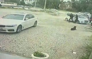 Bodrum’da güpegündüz öldüresiye darp