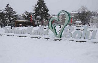 Bolu, en mutlu 2’inci il oldu