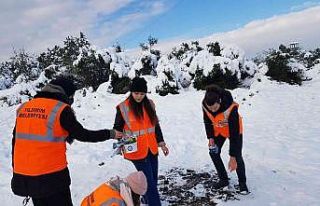 BTÜ öğrencileri sokak hayvanlarını unutmadı
