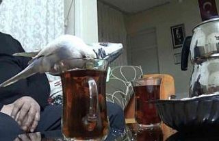 Bu çayın tiryakisi bir başka