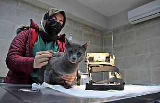 Bu merkezin Türkiye’de örneği yok