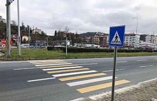 Bu yaya geçidinin sonu çimenliğe çıkıyor