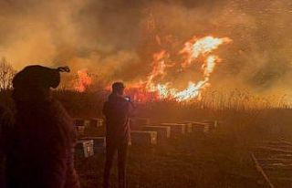 Bursa’da otluk alanda çıkan yangın lodosun etkisiyle...