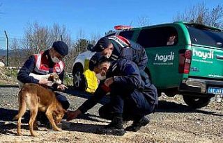 Can dostlara Jandarma şefkati
