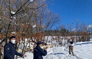 Çanakkale’de kayıp keçiler drone yardımı ile...