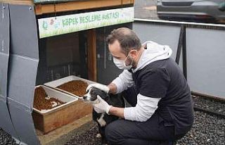 Çayırova Belediyesi’nden sokak hayvanlarına destek