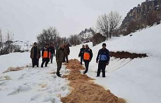 Çermik’te yaban hayvanları için doğaya yem bırakıldı