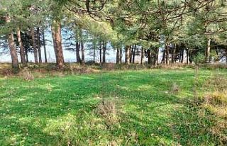 Çiftlikköy’e yeni mesire ve piknik alanları kazandırılacak