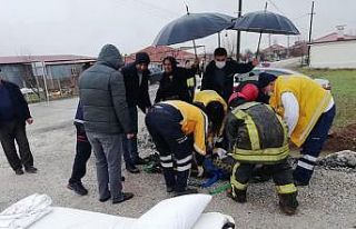 Ciple çarpışan otomobil tarlaya devrildi; 4 yaralı