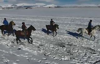 Cirit atlarının kar üstünde dansı