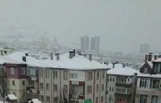 Çöp konteynerine düşen kedi kurtarıldı