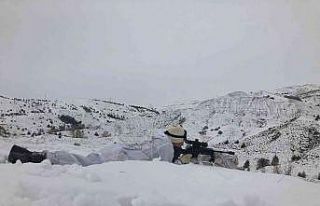 Dağlar karlı onlar kararlı