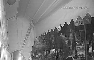 Darp edip iki çocuğun cep telefonunu gasp eden iki...