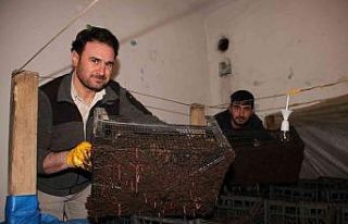 Dedesine ait iki katlı evde solucan gübresi üretiyor