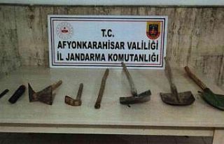 Define avcıları saklandıkları ağaçlık alanda...