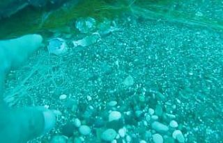 Deniz canlıları için ölümcül tuzak olan ‘Hayalet...