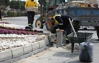 Didim’in dört bir yanında çalışmalar sürüyor