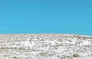 Diyarbakır’da kar yağışının etkili olduğu...