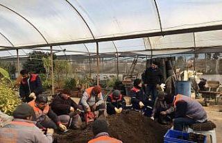 Döşemealtı’nda bakıma alınan fidanlar toprakla...