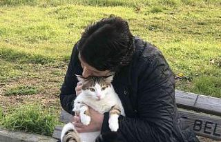 Dünya Kediler Günü’nde kediler ücretsiz muayene...