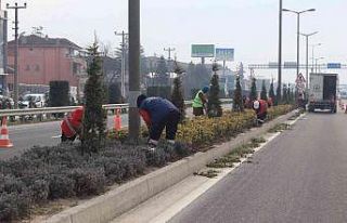 Düzce’de bitkiler bahara hazırlanıyor