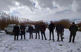 Eber Gölü’nde kuş gözlemi yapılıp, yem bırakıldı