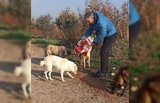 Efeler İlçe Tarım ve Orman Müdürlüğü ekipleri...