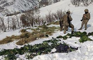Ekipler, jandarma ile birlikte doğaya yem bıraktı