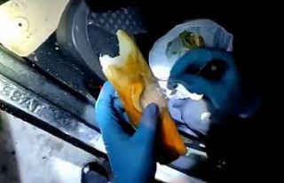 Ekmek arası uyuşturucu ticareti