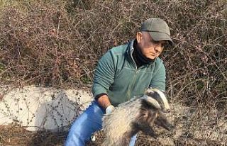 EKODOSD, yaban hayvanları için rapor hazırlayacak