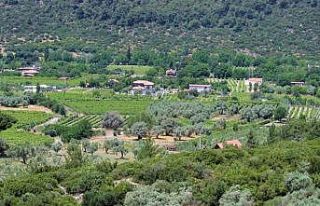 EKODOSD’tan Kirazlı için çağrı