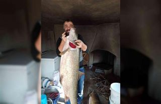 Elazığ’da balıkçılar ağa takılan dev turnalar...