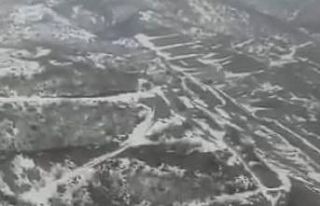 Elazığ’da sürü halinde dağ keçileri görüldü