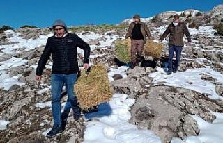 Elazığ’da yaban hayatı için doğaya tonlarca...
